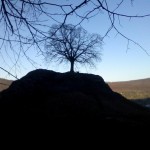 Calverbühl (Andere)