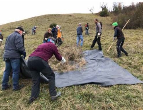 Landschaftspflege Achalm
